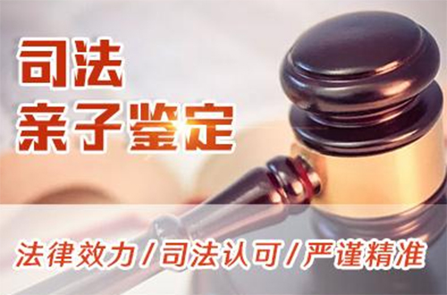 绍兴司法DNA亲子鉴定如何做,绍兴司法DNA鉴定费用需要多少